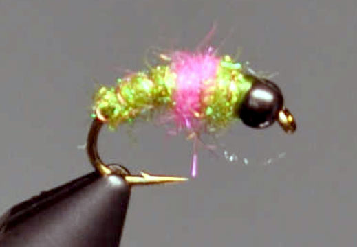 Czech Mate Caddis