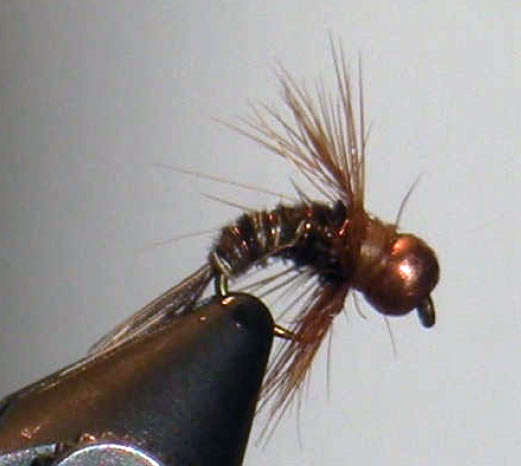 Copper Bead Wet Pheasant