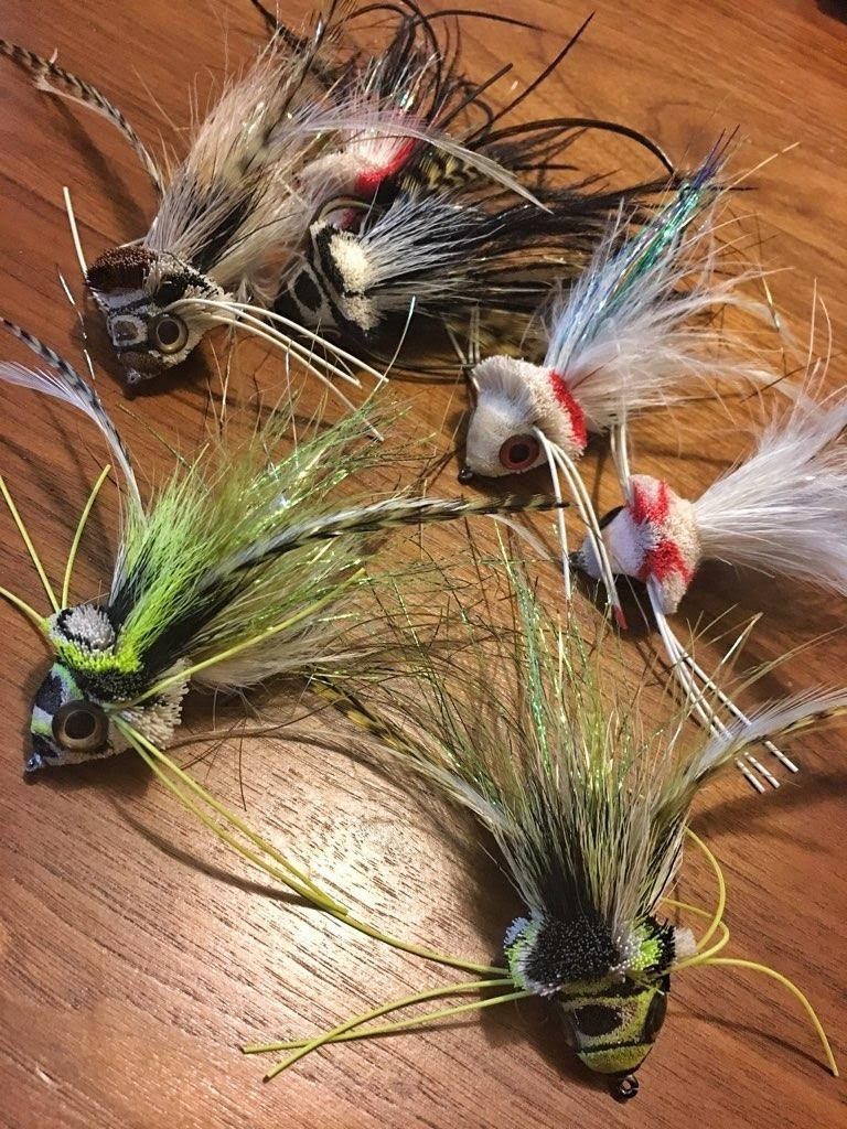 Smallmouth Outing  |  Snake River, MN  |  July 7th, 2019