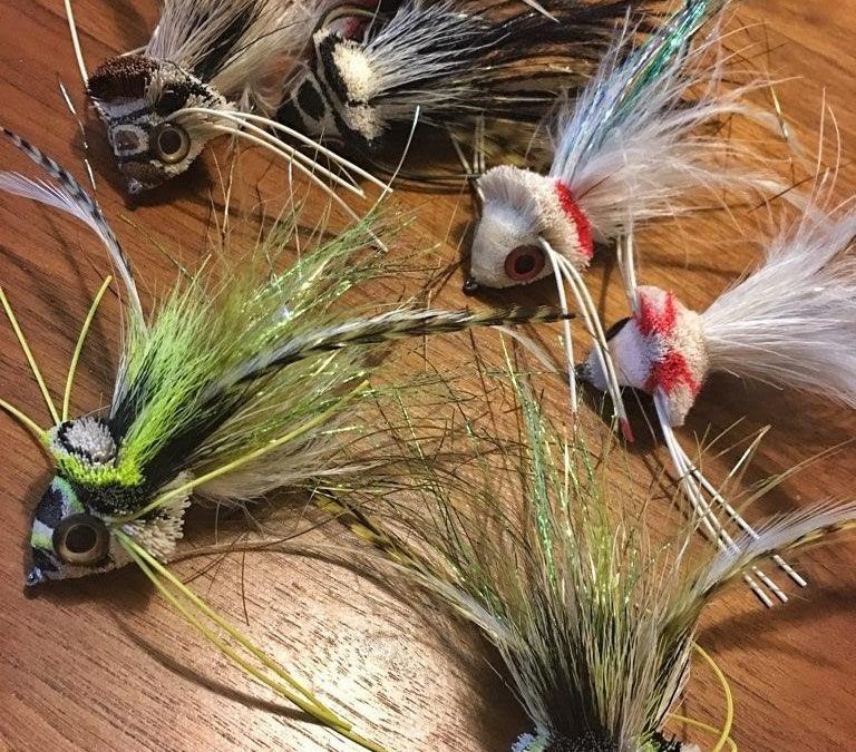 Smallmouth Outing  |  Snake River, MN  |  July 7th, 2019