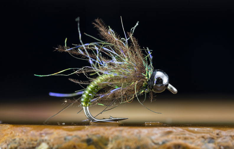 Vinyl rib caddis-Justin Bowman