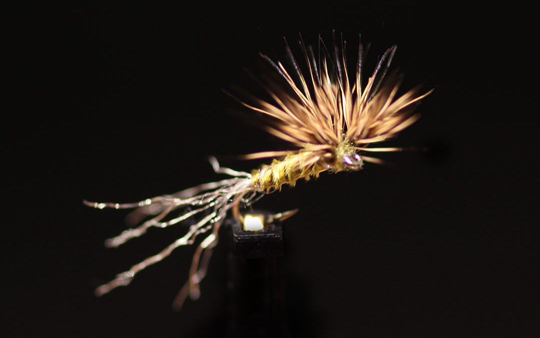 BWO Sparkle Dun