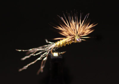 BWO Sparkle Dun