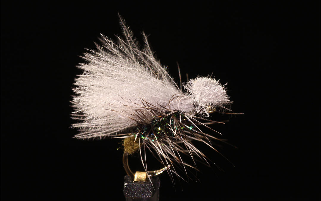 CDC Caddis Tied by Ben Renberg