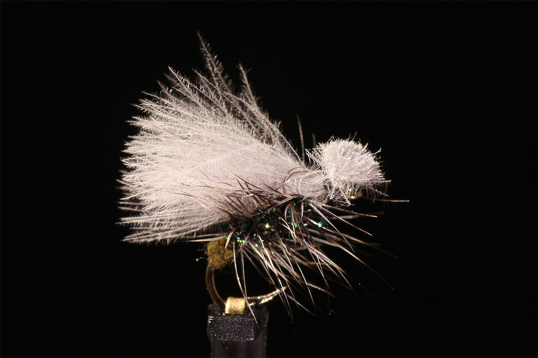 CDC Caddis Tied by Ben Renberg