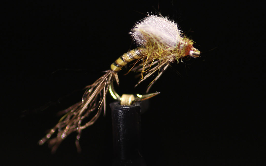 CDC Loop Wing Emerger Tied by Greg Meyer