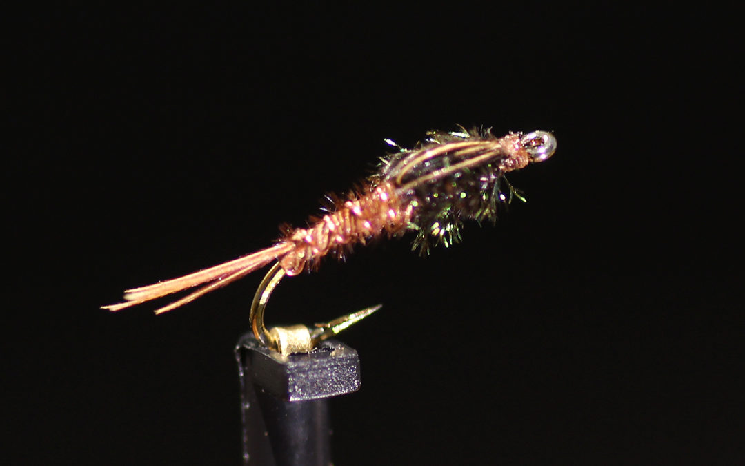 Pheasant Tail Nymph