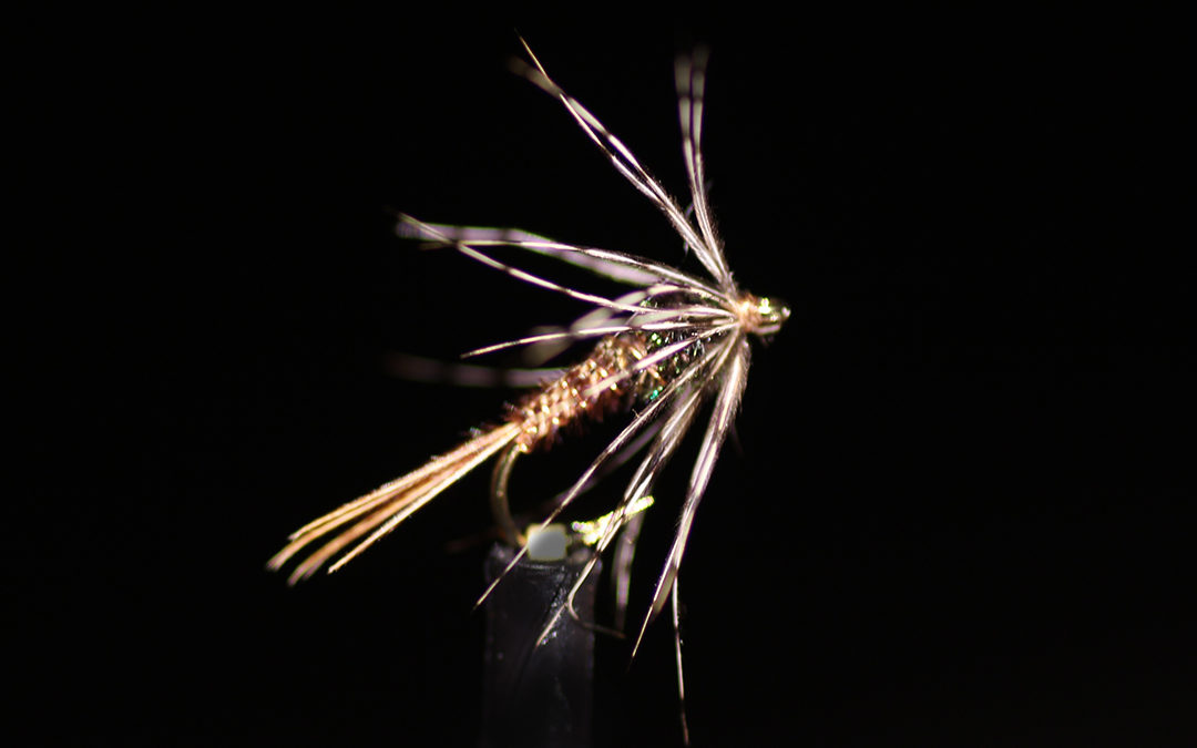 PT Soft Hackle