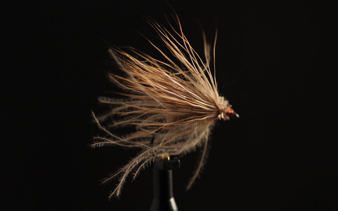 CDC & Deer Caddis