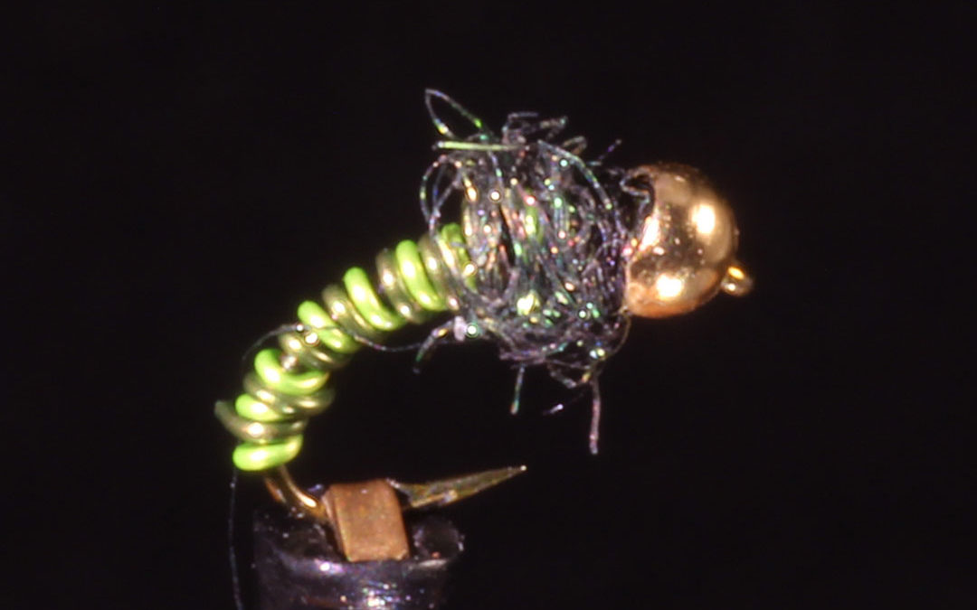 Caddis Pupa