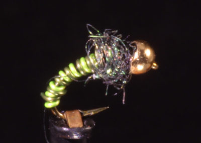 Caddis Pupa