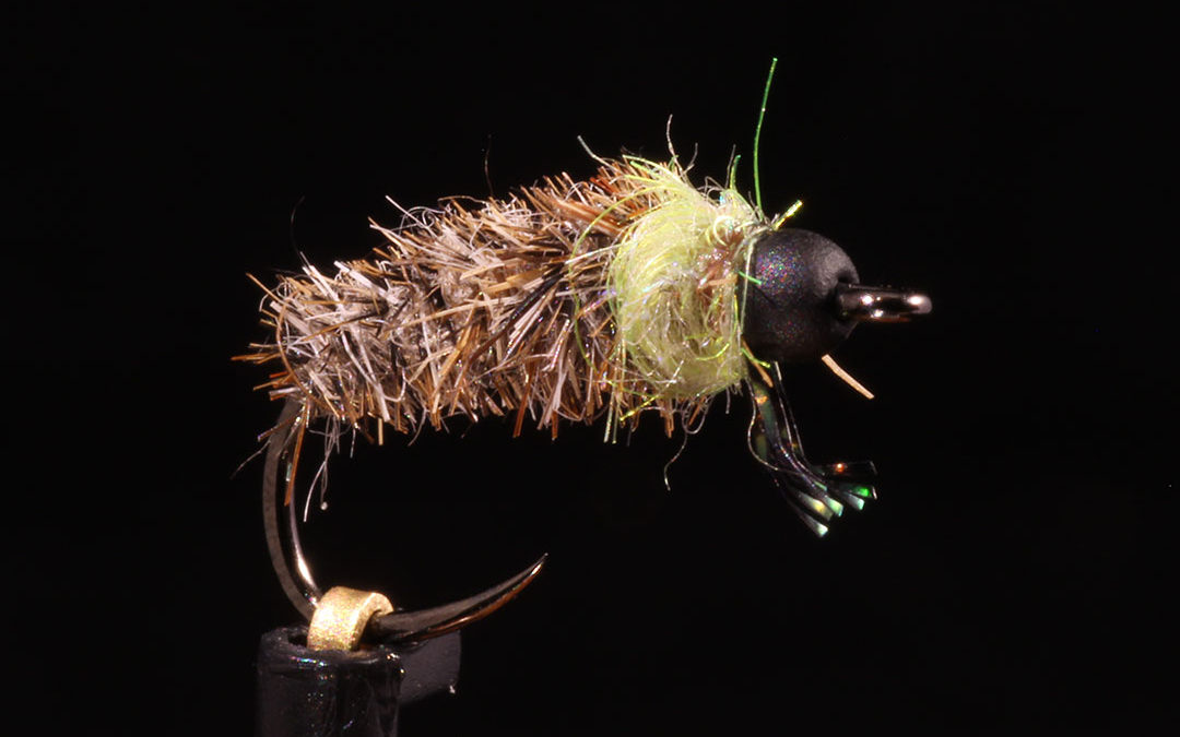BH Cased Caddis