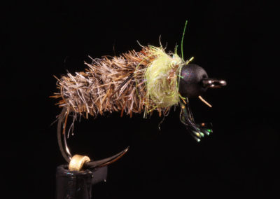 BH Cased Caddis