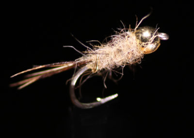 Electric Caddis