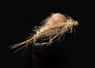 CDC Transitional Nymph