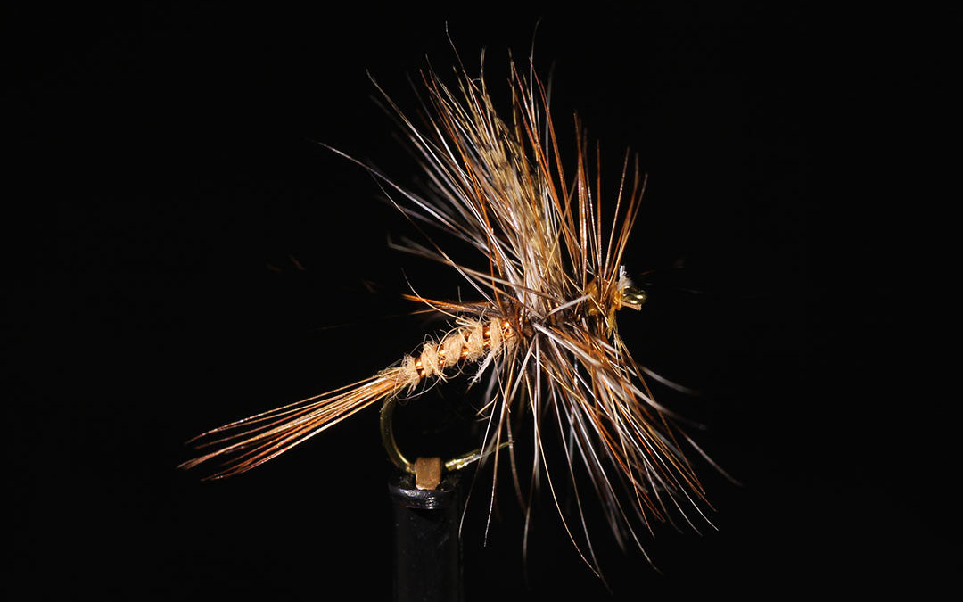 March Brown Dry Fly