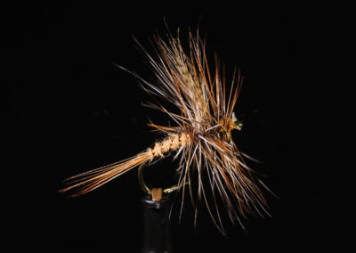 March Brown Dry Fly
