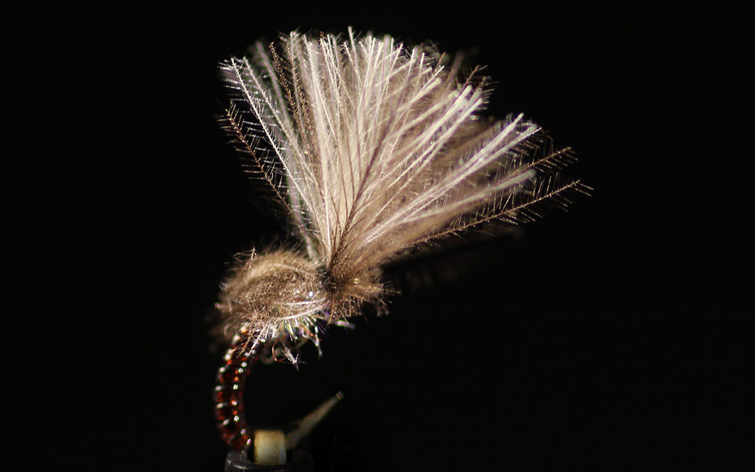 Smoke Jumper Bob Feiker